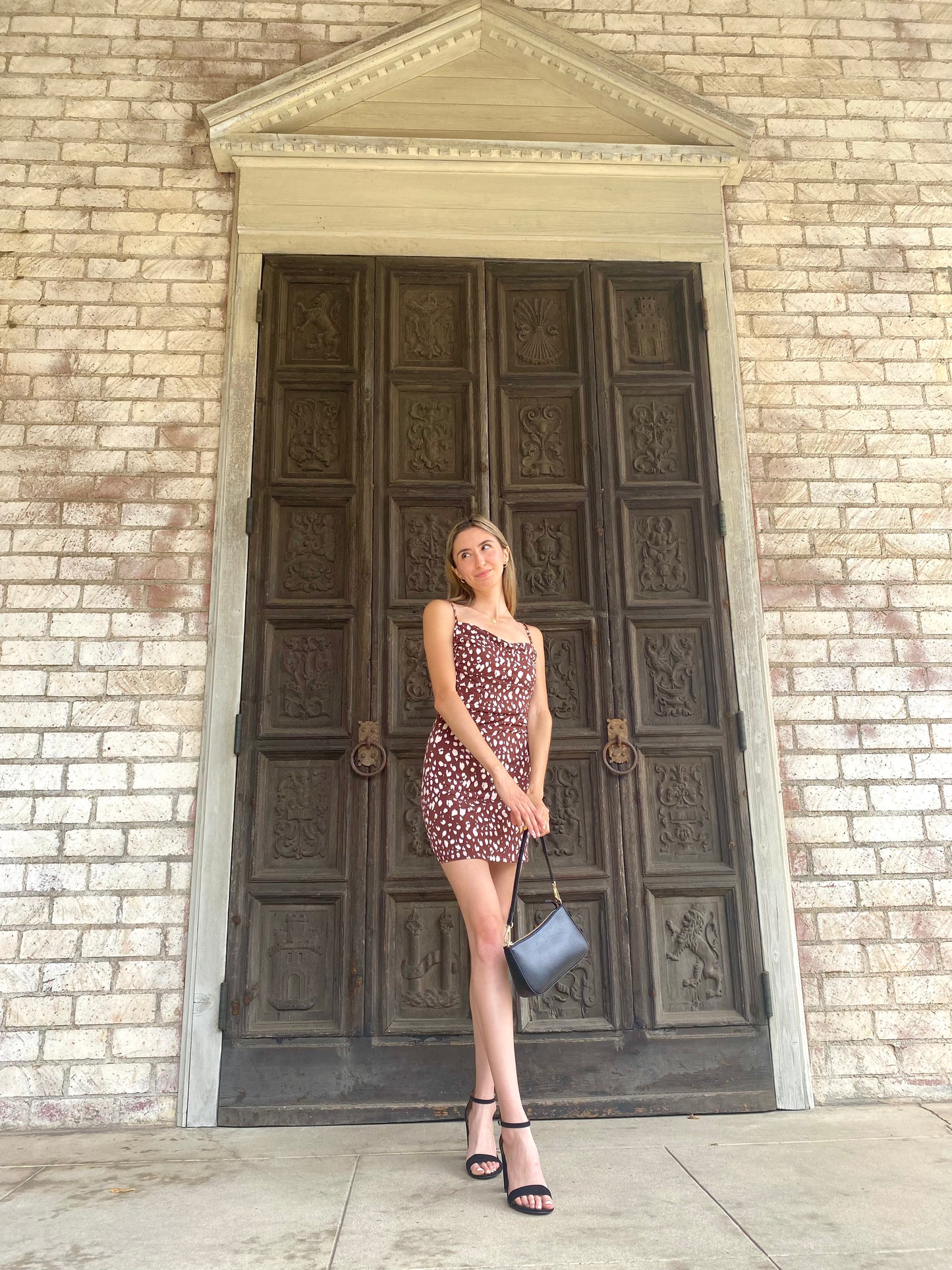 Brown Polka Mini Dress