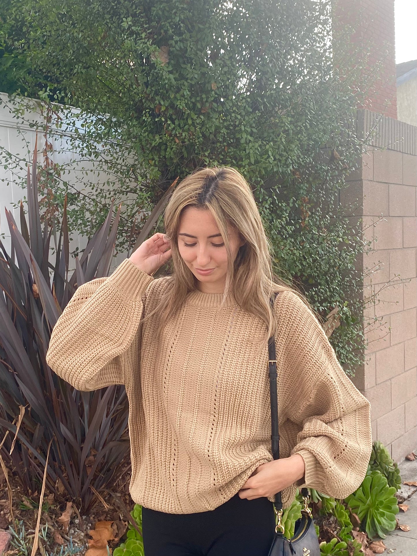 Latte Knit Sweater